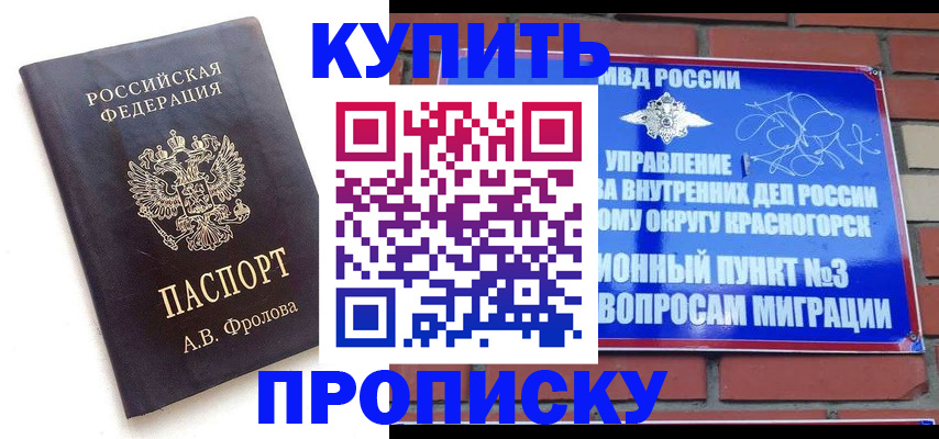 прописка поиск в Большом Камне
